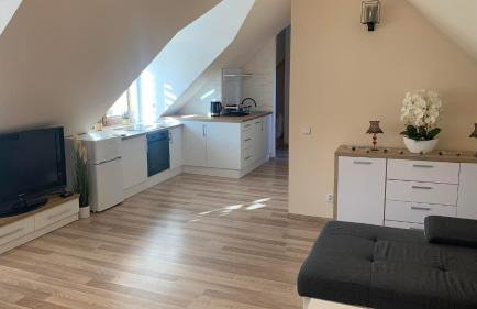 Apartament Borowik - Foto 3