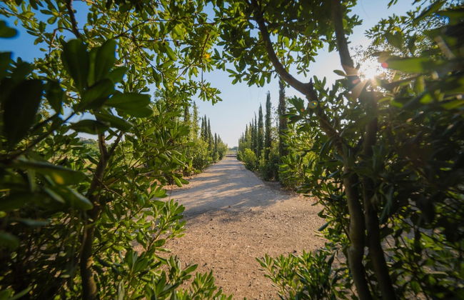 Villa Vallone Luxury With Pool - Foto 38