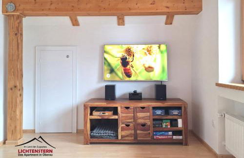 Apartment LICHTENSTERN - Foto 8