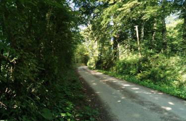 Chez Marguerite et Bienaimé - Foto 28