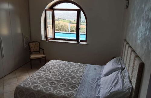 Il giglio perlato - Foto 2