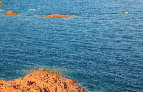 Domaine De La Bastide D'a - Foto 19