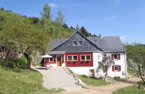 Gîte La Petite Finlande - Photo 2