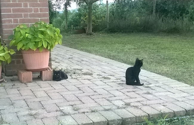 Agritur Le Sigalette - Photo 29