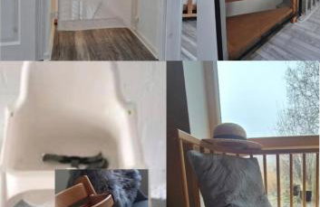 Schäferhaus - Photo 10