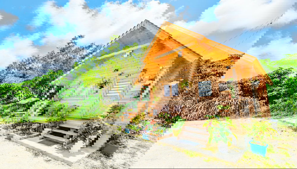 UMIOTO log - Foto 1, Imagen principal