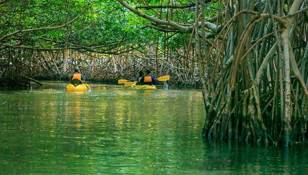Por los canales de manglar