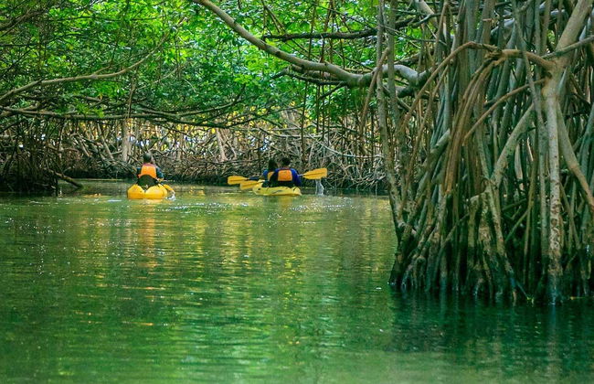 Tour en kayak por la laguna Grande al anochecer - Foto 3