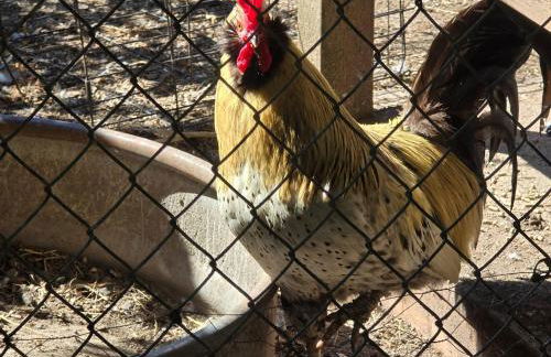 Secluded Off-Grid Retreat> Cabins+Hiking+Waterfall - Foto 34