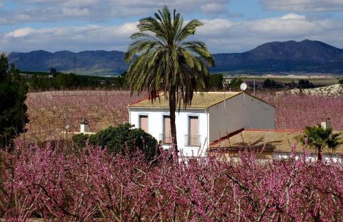 La Joya del Valle de Ricote - Foto 60