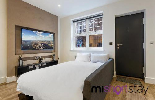The Residence Fitzrovia - Private One Bedroom Apartment With Own Entrance - Foto 8