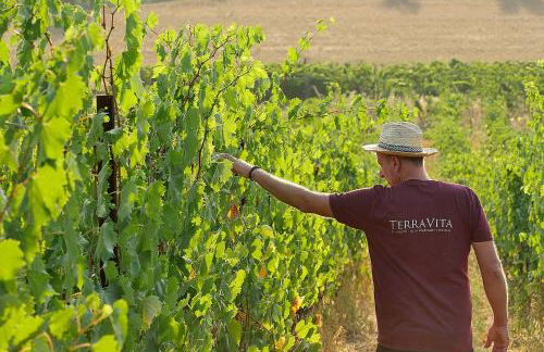 TerraVita Winery & Boutique Apartments - Foto 20