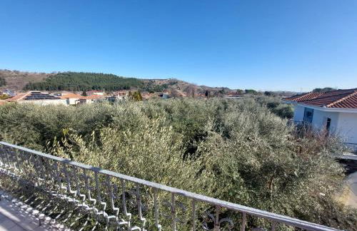 River House - Photo 66