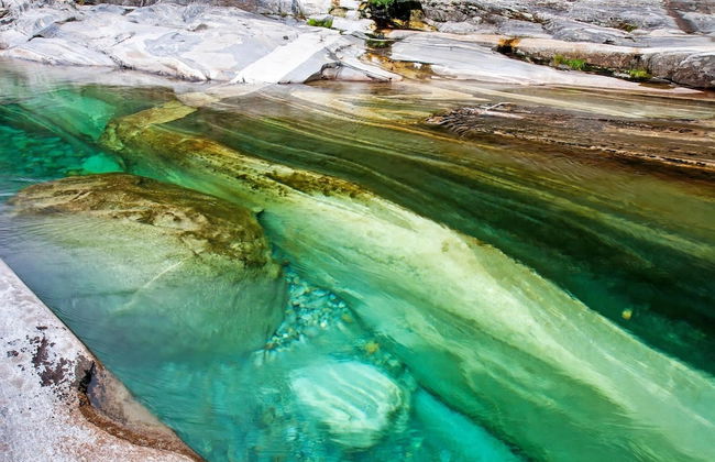 Garden On The Lake in Gambarogno Vira - Foto 17