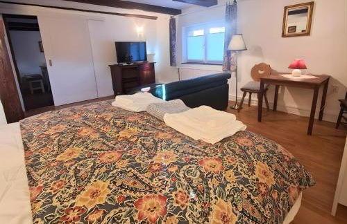 Ferienwohnungen Bernsdorfer Straße Chemnitz - zentrumsnah, teilweise mit Balkon oder Terrasse, große Parkanlage - ideal für Familien, Paare und Geschäftsleute - Foto 17