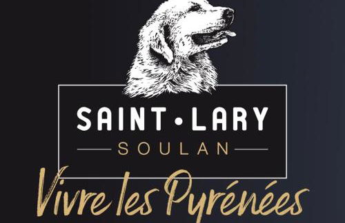 Chalet 4 pers confort 100mdespistes St Lary 4 étoiles - Foto 32