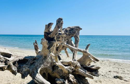 Mini Villa Pascal Paoli avec piscine - proche mer - Foto 23