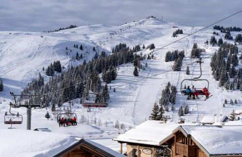 Les Saisies appart 1 chambre au pied des pistes - Foto 16
