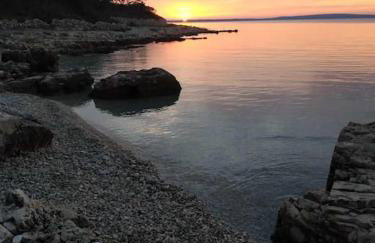 Yellow submarine - Photo 9