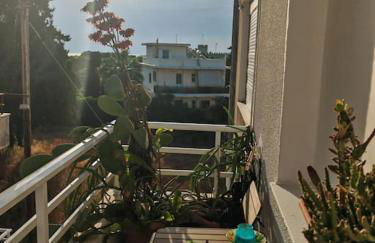 Leo's & Xerxes' place in the Heart of Rhodes - Photo 28