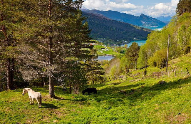 AMAZING HARDANGER FJORD: Private guided round trip from Bergen, 10 hours - Photo 33