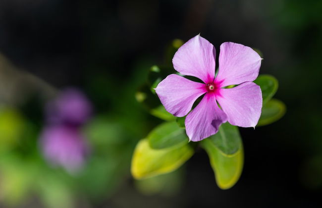 Residencial El Llano - Foto 27