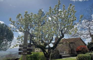 Al Podere del Nonno Romolo - Photo 52