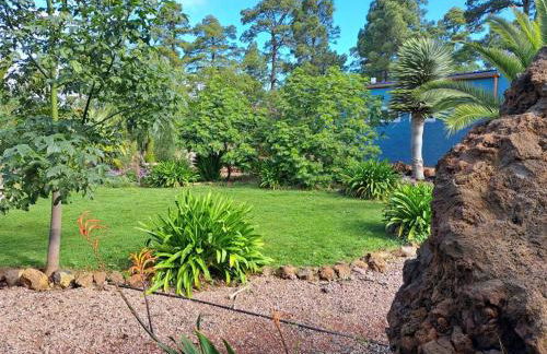 Casa Nogal - Foto 19