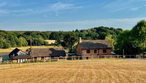 Arniss New Forest - Foto 2, Garden
