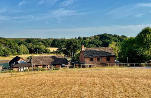 Arniss New Forest - Photo 2