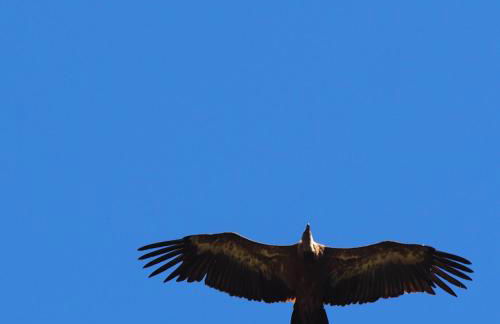 Gîte La Cerise Qui Rit - Photo 21