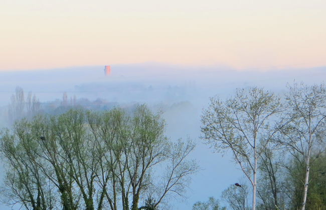 Résidence Carouge - Foto 35