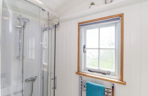 Gwithian Shepherds Hut - Foto 12