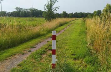 Mooroase Bauerngarten - Ovelgönne - Nordsee - Weser - Jade - Foto 28