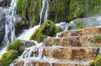 FeWo Schönfeld - Photo 20