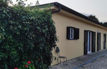 A Tintureira - Photo 1