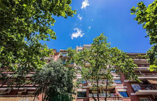 Sweett - Wellington - Foto 16