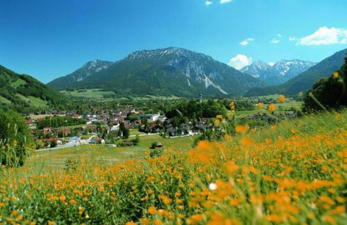 Ferienwohnungen am Westernberg inkl. Chiemgaukarte - Photo 11