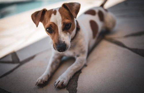 Maison de vacances Villa Cardabella - Foto 41