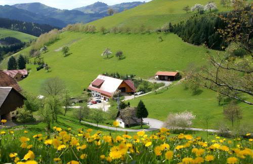 Unterer Gurethshof - Foto 3