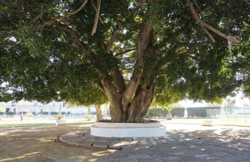 Villa Horacia - Foto 16