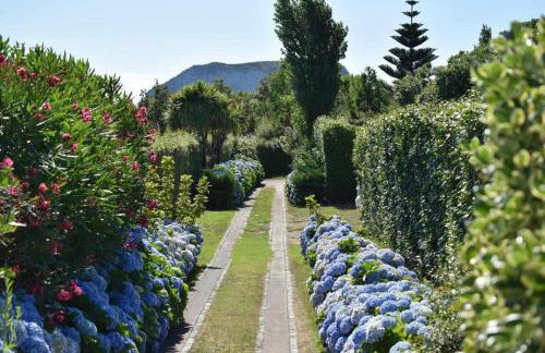 Quinta da Meia Eira - Photo 86