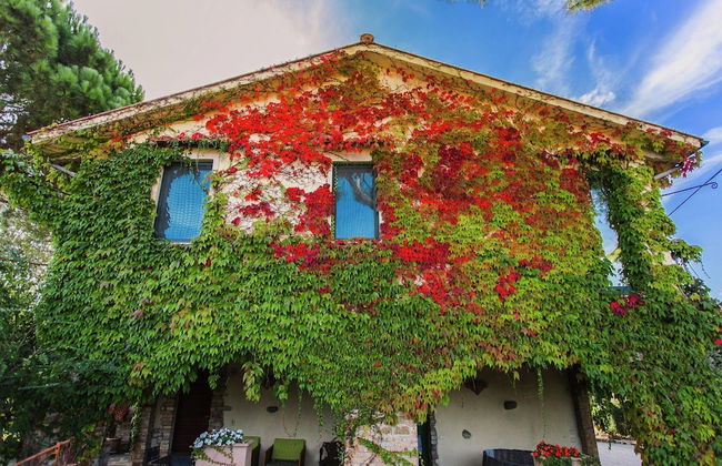 Farmhouse in Marsciano With Vineyards Olive Groves - Foto 80