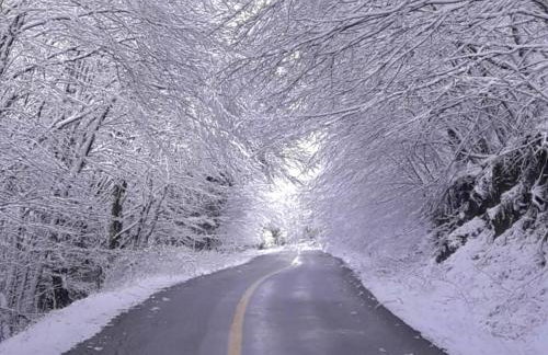 Gousios Apartments - Foto 43