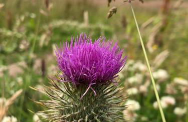 The Snug @ the Mill Inn, Stonehaven - Foto 33