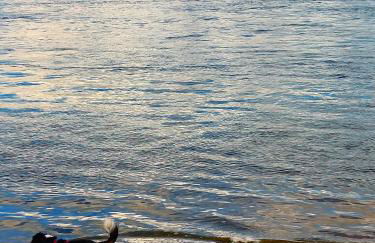 Fewo Erdgeschoss Ankerplatz mit Sauna direkt am Brombachsee bei Juliane und Klaus - Foto 34