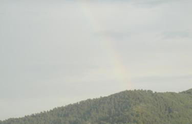 Nestor Apartments - Foto 56