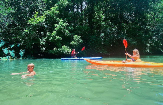 19 Son's Geronimo - Birdhouse Cabin - Photo 37