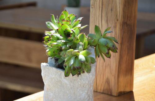 Apartment MareLux - Photo 14