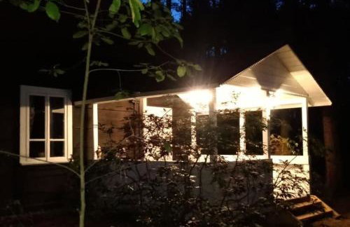 Wilga - urokliwy dom z bala (50 km od Warszawy) - Foto 20